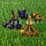 M6*20 Titanium & Gold Screw / Skru Ekor Mudguard Fender Exhaust Coverset Cowling ( Y15ZR / 125ZR / L
