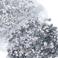 20g Silver Laser Sequins Star Shape Glitter | DIY Craft Supplies for Nail Art Resin Journal Decorati
