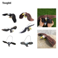 Tooyful Simulated Eagle Model Kids Toy Highly Detailed Education Eagle Statue Eagle Toy Figure for K