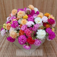 | CARNATION RANDOM BOX | 40 KERATAN | ROS JEPUN | JAPANESE ROSE | BUNGA JARI LIPAN |