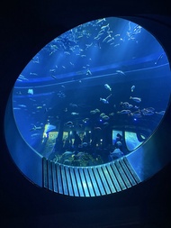 限定沖繩旅遊｜全程無自理餐｜古宇利～跨海大橋．最新DMM水族館．琉球傳統文化．BBQ暢食四日｜保住1晚國際品牌飯店