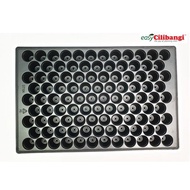 Sowing Tray (Dulang Semaian) 104 Lubang