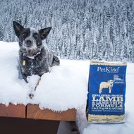 【狗主食】PetKind 野胃 低敏羊 天然鮮草肚狗糧 單一蛋白質
