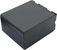 Peakbatt CGA-D54SE/1H, CGP-D54S, CGR-D54S, VW-VBD55, 5400mAh Battery Replacement for Panasonic NV-DS