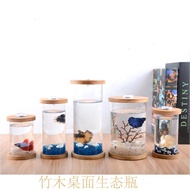 Bamboo Wood Desktop Glass Flower Container Micro Landscape Tank Tropical Fish Tank Creative DIY Aquarium Landscaping Living Room Fish Tank Betta Tank-Table Top Fish Tank round