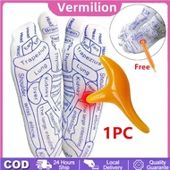 Massage Socks Acupuncture Points Socks Acupoint Illustrated Socks Massage Tool Men Women Reflexology