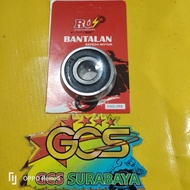 Bearings, bearings, bearings, wheel bearings 6302 -2RS RUI