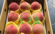 【預購！桃園復興鄉的初夏水蜜桃 12顆裝(2斤)x8盒】高山水蜜桃 果肉細緻 香甜多汁