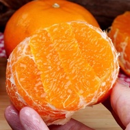 【很甜】广西沃柑橘10斤新鲜水果应季桔子武鸣茂谷柑薄皮橘子 精选沃柑【6年以上老树】很甜多汁 带箱9-10斤【大果】香甜多汁