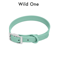Wild One - Collar ปลอกคอสุนัข │ Seafoam 🫧