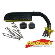 Haltech E8.E11V2 Mitsubishi VR4 EVO 1-3 Patch Loom