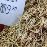 ikan bilis mata biru