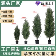 Detachable Simulation Cypress Potted Plant Hotel Floor Decoration Tree Floor Decoration Potted Artif