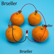 BRSELLER Electricity Experiments Science Kit, Bio Energy STEM Experiment Fruit Battery Science Exper