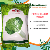 PAVITO PECHAY SEEDS 1KG BY: EAST-WEST SEED PHILIPPINES