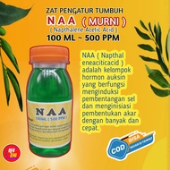 ZPT NAA kelompok hormon auxin berfungsi menumbuhkan akar menjadi banyak melebihi dari biasanya
