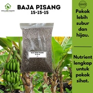Baja Anak Pisang Kuda Merah | Baja Pertumbuhan Anak Pisang | NPK 15-15-15 | NPK Hijau |
