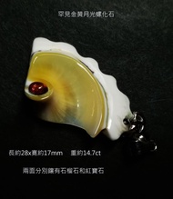 天然貝殼，黃金月光螺化石·有機寶石·其它寶石·硨磲·奇珍·異石