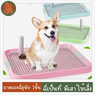 2-Layer dog Pee Tray With Pole To Aim toilet Pad
