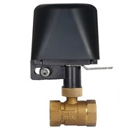 Tuya Smart WiFi Water Vavle Zigbee Gas Water Stop Check Valve DN15 Wireless Control Timer Work+Alexa
