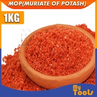 Mytools 1KG Muriate of Potash / MOP 60% / 60% K2O / Potassium Chloride Baja Tungga Bunga