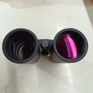 Eyeskey ED Hyperion Bee Hunting Binoculars 10x42 or 8x42