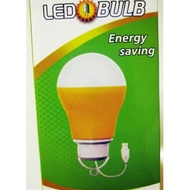 ENERGY USB LED BULB