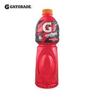 【Eileen小舖】GATORADE 開特力運動飲料 500ml atorade 佳得樂 電解質補充 能量運動飲料