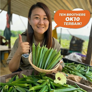 Paket/Tin 50-200g OK10 TEN BROTHERS Crop Power Biji Benih Kacang Bendi F1 Hybrid Okra Seeds Ok 10 Re