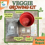 PECHAY BAGUIO GROWING KIT - READY TO USE/COMPLETE PACKAGE/POT/SOIL/SEEDS/MANUAL/LABEL STICK