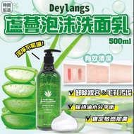 少量現貨-可面交-韓國製造 Deylangs  蘆薈🌱泡沫洗面乳☁️ 500ml