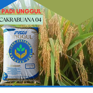 BENIH PADI GALUR UNGGUL CAKRABUANA 04 kemasan 5kg kualitas premium