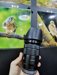 sony 18-105mm f4  18-105