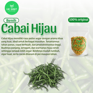 ( 100 Gram ) Benih Biji Cabai Hijau Panjang | Cabe Hijau Lombok | Cabe Hijau
