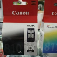 Canon Ink Cartridge PG810 Black