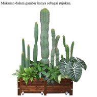[Simulation Model] Tree Cat Simulation Cactus High-Quality Cactus Cactus Pillar Potted Plant Large D