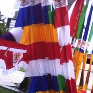 August zigzag pennant 3 M