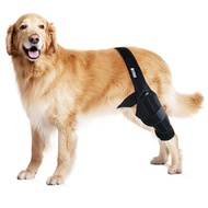 Postoperative Auxiliary Dog Belt Injury Injury Leg Pet Rehabilitation Belt Dog Protective Gear Leg P