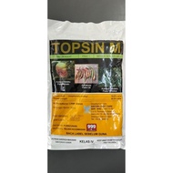 500g Ancom Topsin M thiophanate-methyl