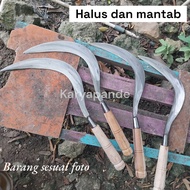 sabit rumput tebal dan taajamm untuk serabutan istimewa