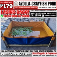 PVC TYPE AZOLLA BED AZOLLA POND FISH TANK CRAYFISH KOI FISH AZOLLA PLANT