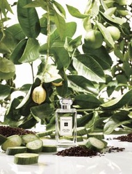 Jo Malone EARL GREY & CUCUMBER COLOGNE 伯爵茶與小黃瓜香水 100ml
