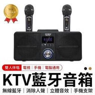 ✨【今日特購】現貨 雙人無線KTV SD309 藍芽喇叭麥克風 藍牙 　 藍牙 雙人無線KTV 藍芽喇叭 家庭KTV　藍