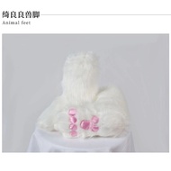 【COSER 77】Genshin Impact  Kirara Cosplay Costume ขนาดบวก ชุดคอสเพลย์เกม สําหรับแต่งคอสเพลย์ Game Sui