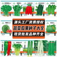 Source Manufacturer Vegetable Seeds Daquan Four Seasons Spring Autumn Summer Melon Fruit Seeds Veget