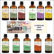 Plant Therapy 11 Popular Essential Oil 100mll Premium Quality With Lab Report. Made in USA