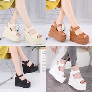 12CM TABLE CANE SANDAL SHOES tcn