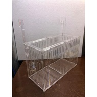 Box/ lồngdưỡng tách cá mica cao cấp (40x15x15)