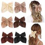 6 Pieces Ladies Hair Accessories, Hair Clips, Silk Satin Hair Accessories, Neutral Color Hair Bands,