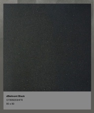 Granit Roman dBelmont Black GT809203HFR 80 x 80
